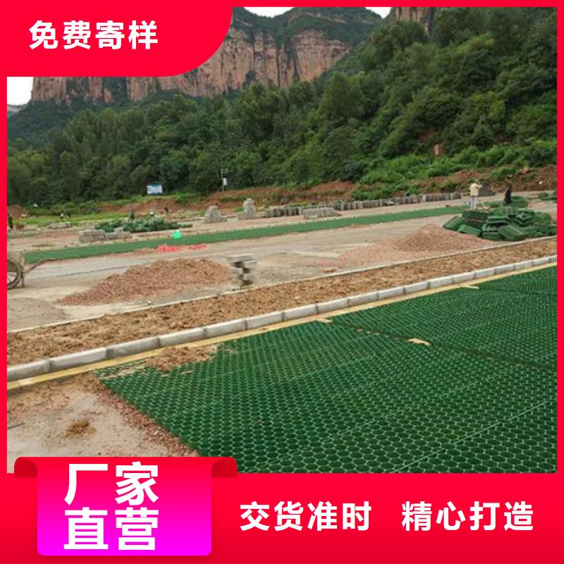 植草格-单向塑料土工格栅定制定做