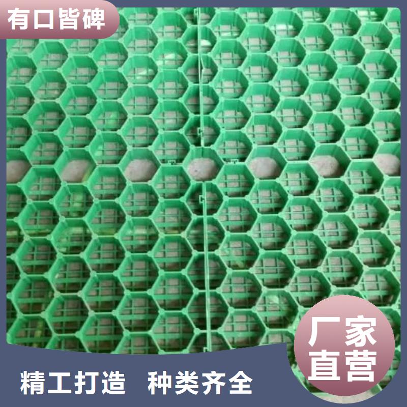 【植草格】防渗复合土工膜免费获取报价