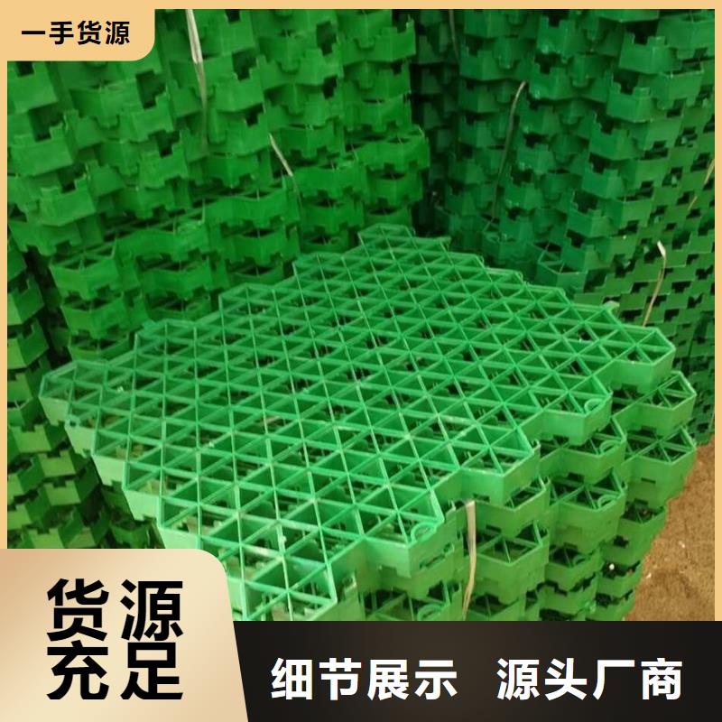 【植草格】毛细排水板经验丰富品质可靠