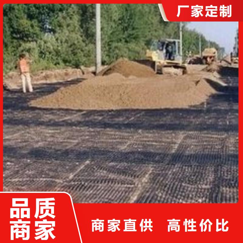 pp焊接土工格栅城建土工膜质优价保