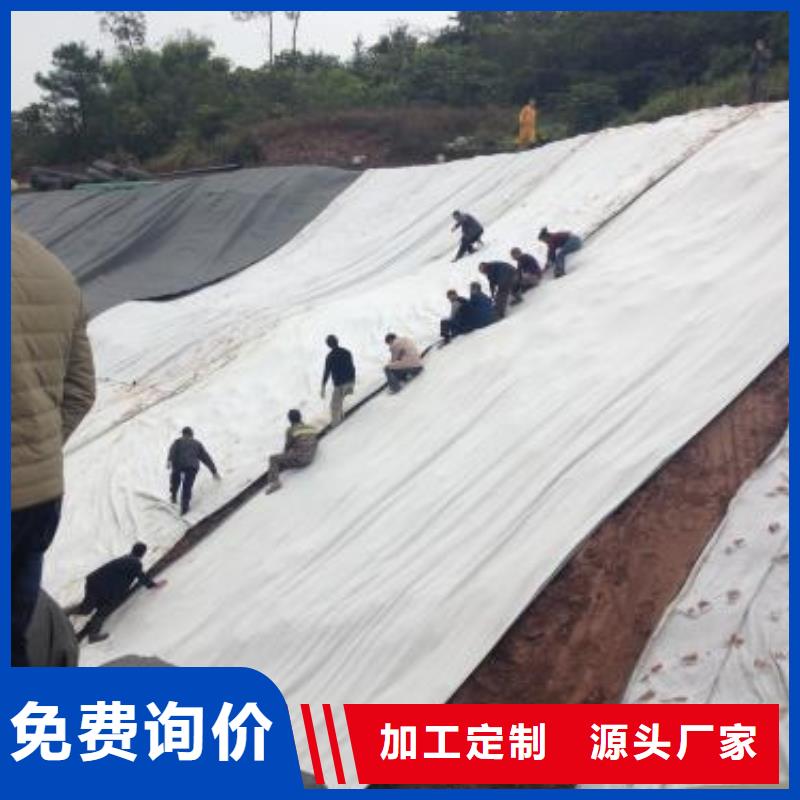 膨润土防水毯_双向塑料土工格栅厂家货源