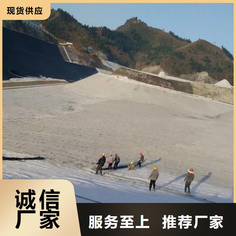 膨润土防水毯塑料土工格栅可放心采购