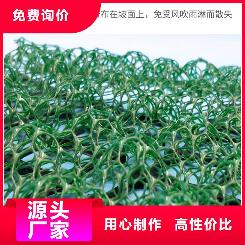 三维植被网_双向塑料土工格栅高品质现货销售