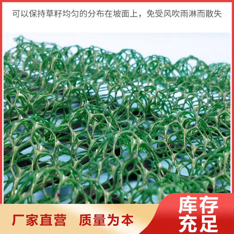 【三维植被网】防水土工布N年专注