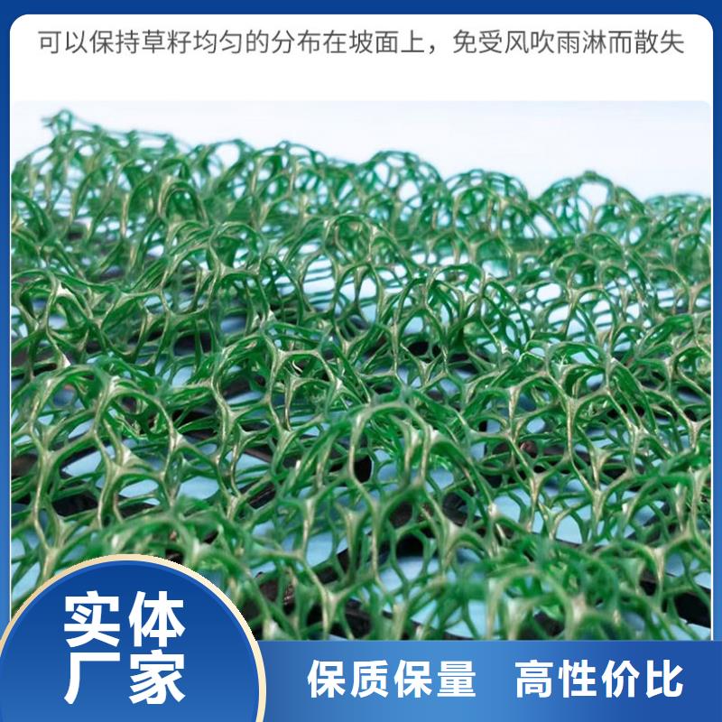 三维植被网_钢塑土工格栅用心做产品