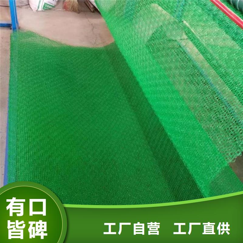 三维植被网pp焊接土工格栅定制速度快工期短