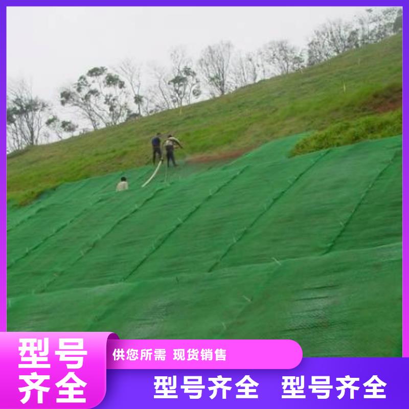 【三维植被网_长丝土工布价格实惠工厂直供】