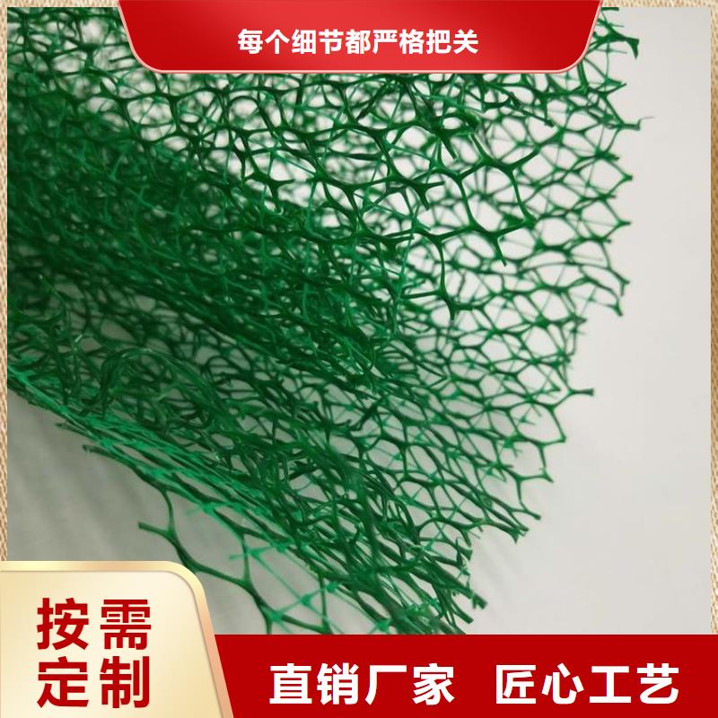 三维植被网_涤纶土工格栅高质量高信誉