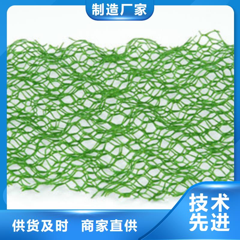 三维植被网_无纺布设备齐全支持定制