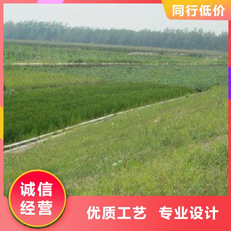 【三维植被网】膨润土防水垫本地配送