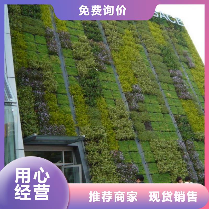 三维植被网市场行情