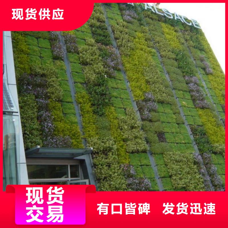 三维植被网,双向拉伸土工格栅厂家型号齐全