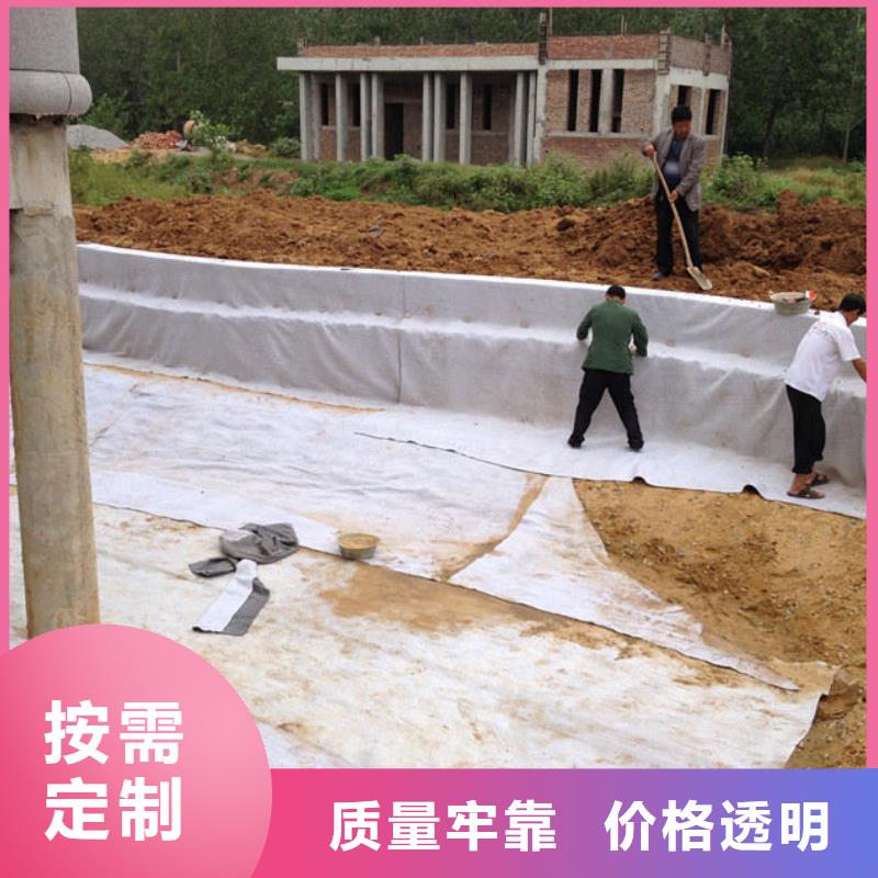 膨润土防水毯护坡土工网产地批发