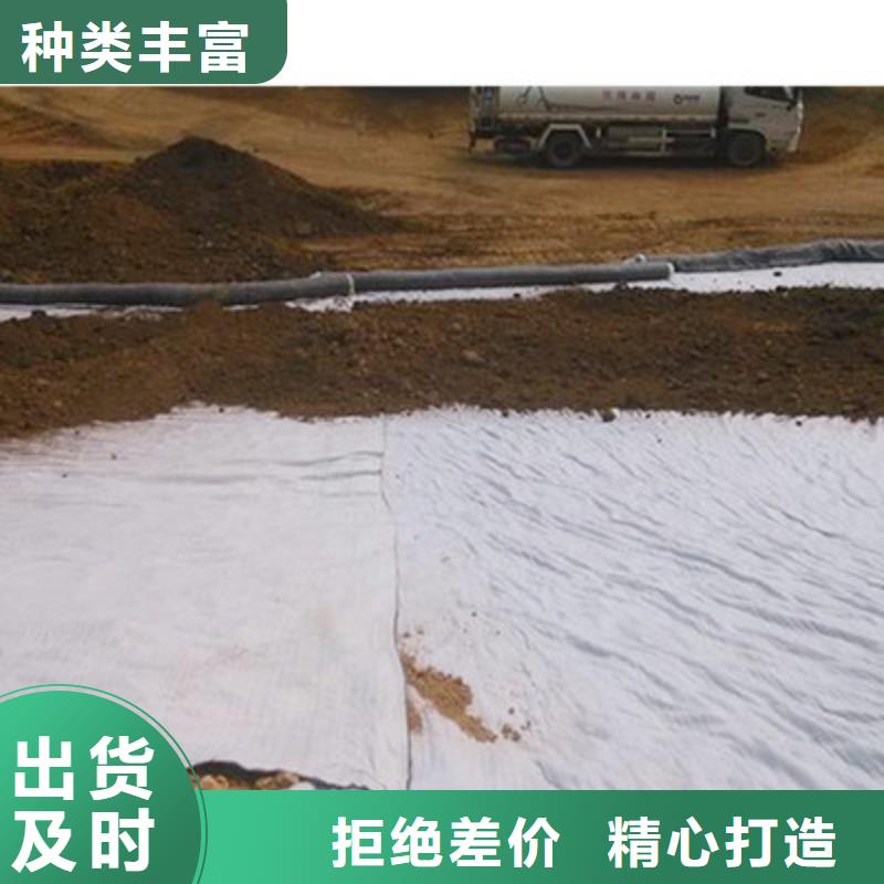 【膨润土防水毯-双向拉伸土工格栅工厂采购】