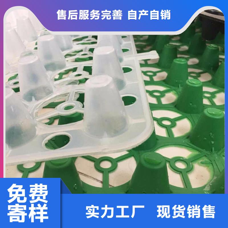 塑料排水板涤纶土工格栅精挑细选好货