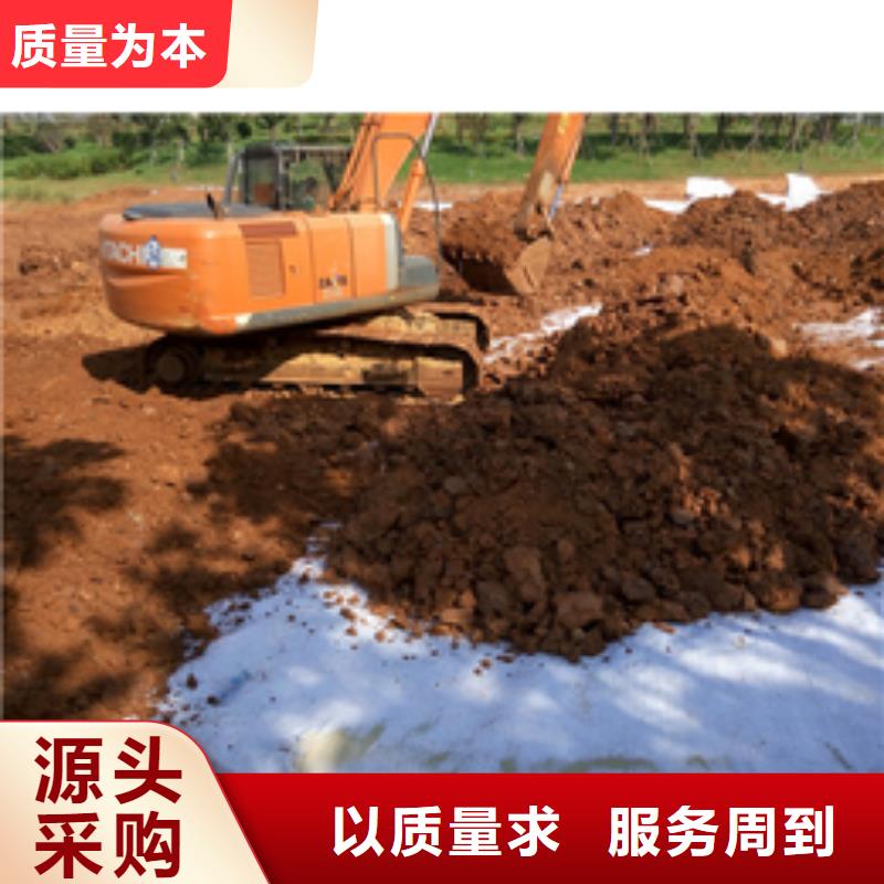 【防水毯膨润土防水毯支持拿样】