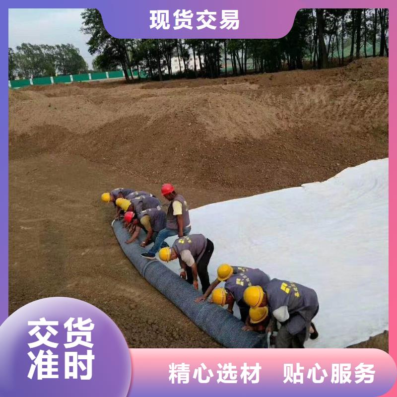 防水毯钢塑土工格栅厂家精心打造