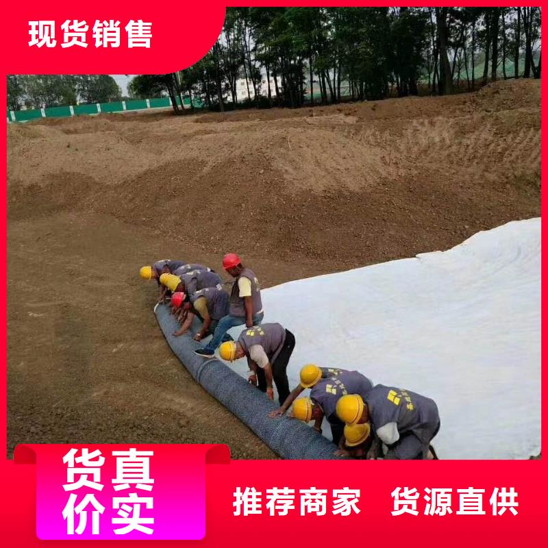 防水毯护坡土工网当日价格