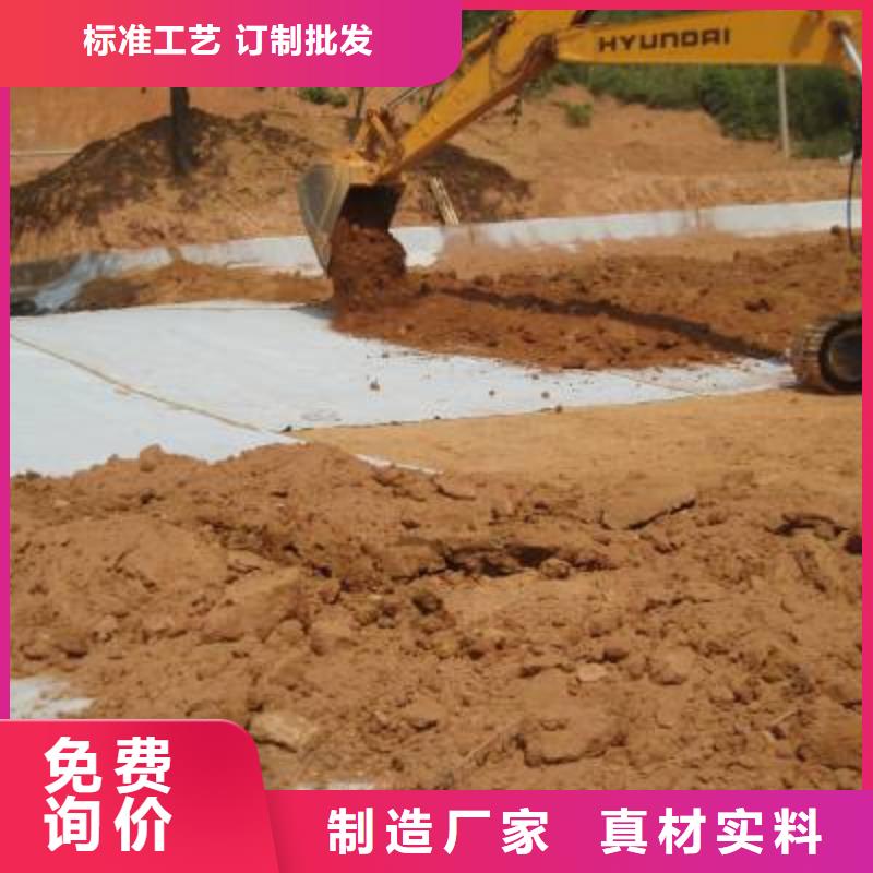 防水毯【双向塑料土工格栅】实体厂家支持定制