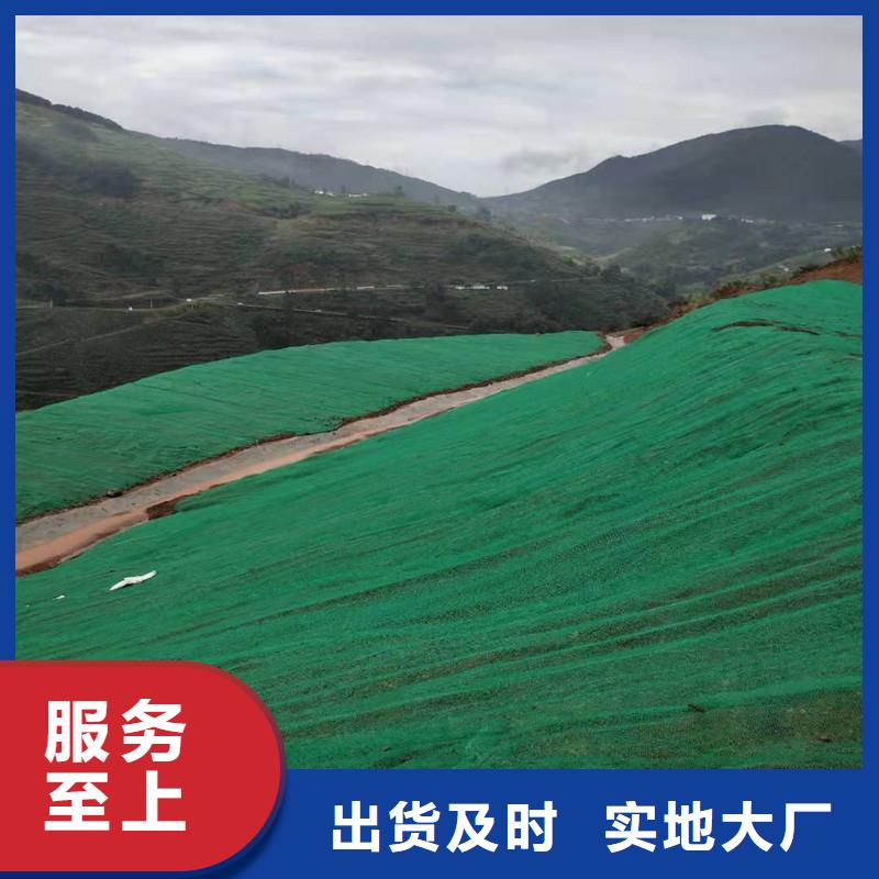 三维植被网单向塑料土工格栅多家仓库发货