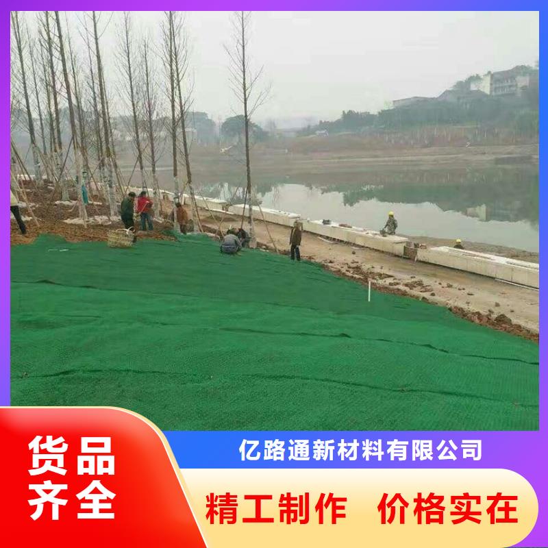 三维植被网,多向塑料土工格栅现货交易