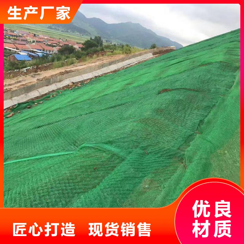 三维植被网_涤纶土工格栅厂家质量过硬