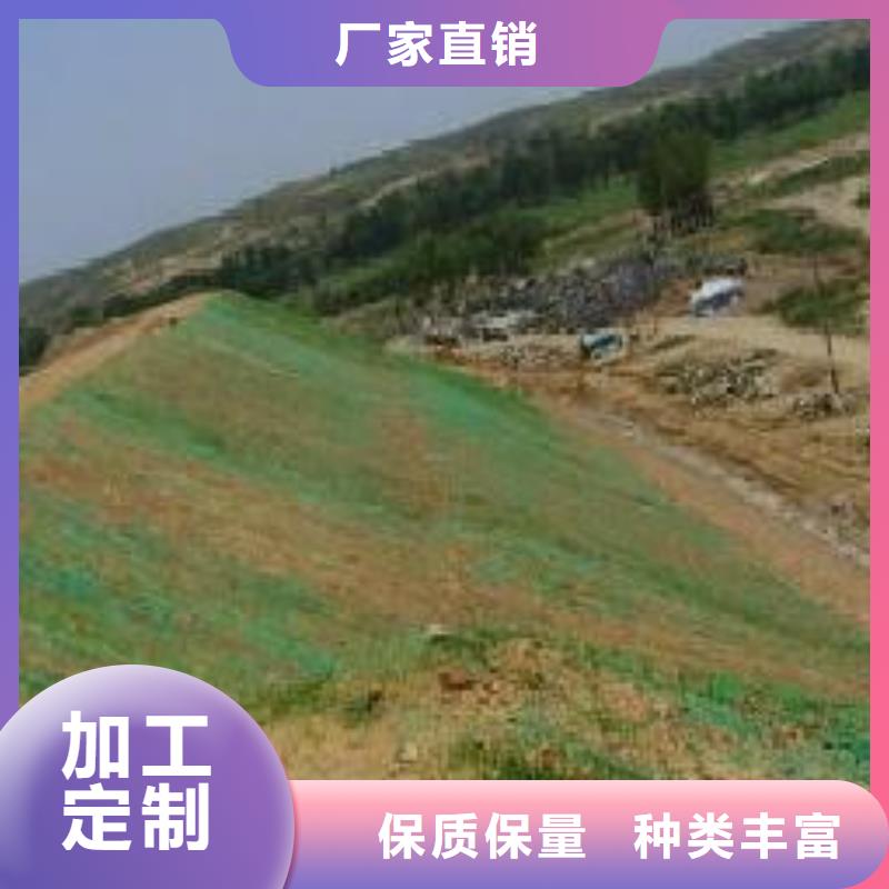 三维植被网,钢塑土工格栅联系厂家