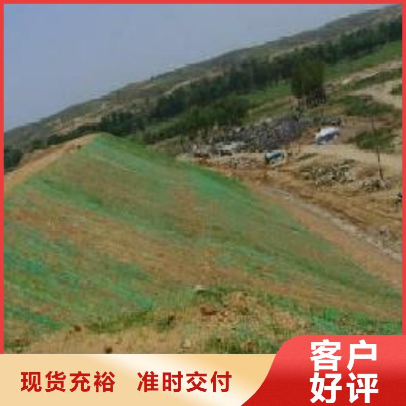 三维植被网【钢塑土工格栅厂家】精选厂家好货