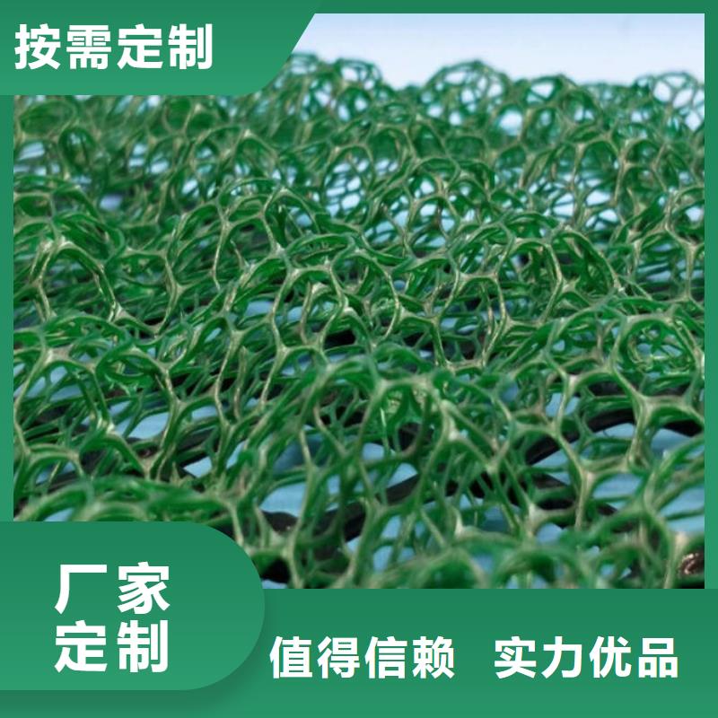 【三维植被网】土工布批发物美价优