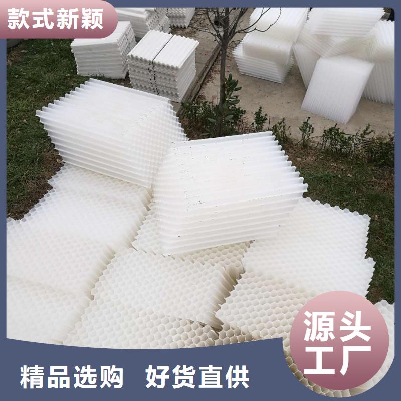 PP斜管填料出水达标