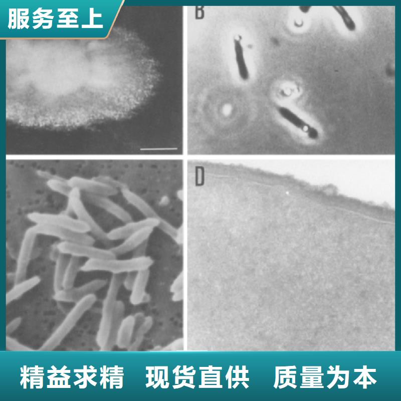 生物复合碳源厂家最新报价