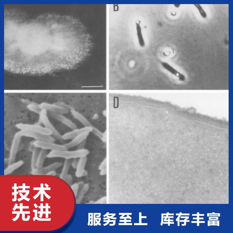 碳源在污水处理中的作用是什么厂家电话