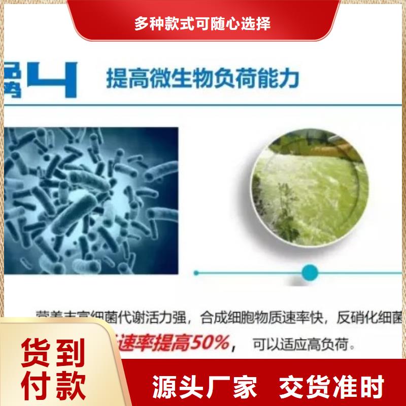 污水处理厂专用碳源批发