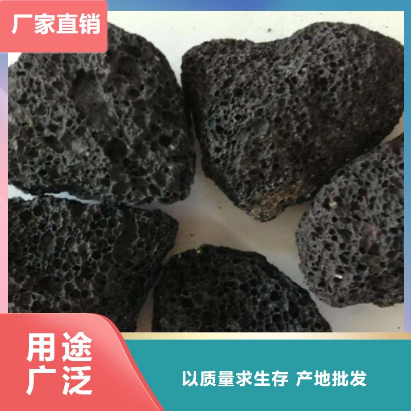 反硝化池用火山岩陶粒总代理