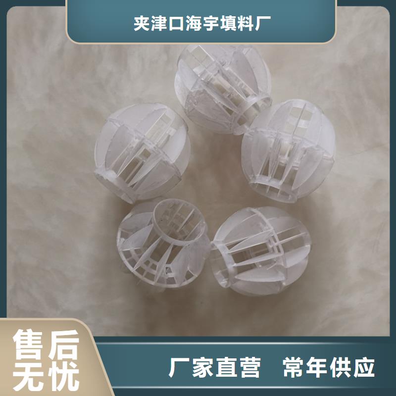 空心球【活性氧化铝】专注质量