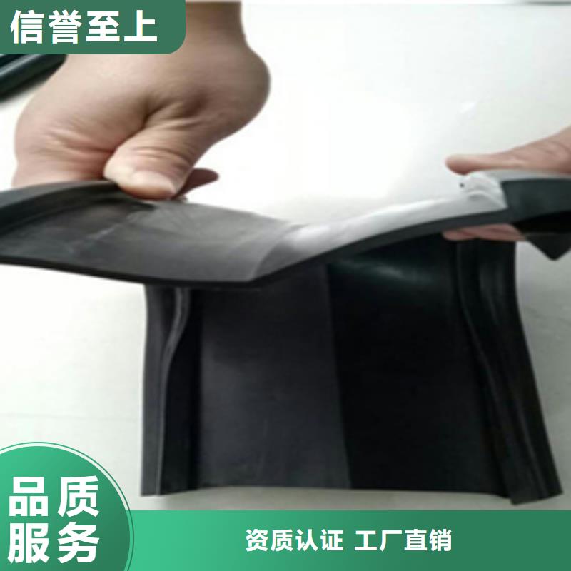 桥梁伸缩缝胶条更换施工价格