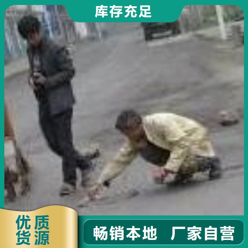 路面抢修质优价廉