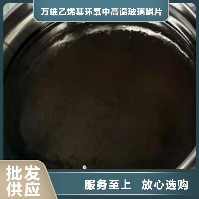 环氧煤沥青漆乙烯基玻璃鳞片胶泥本地厂家值得信赖