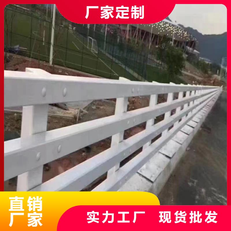 道路隔离栏杆实地考察