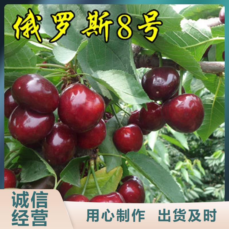 樱桃-奶油草莓质量层层把关