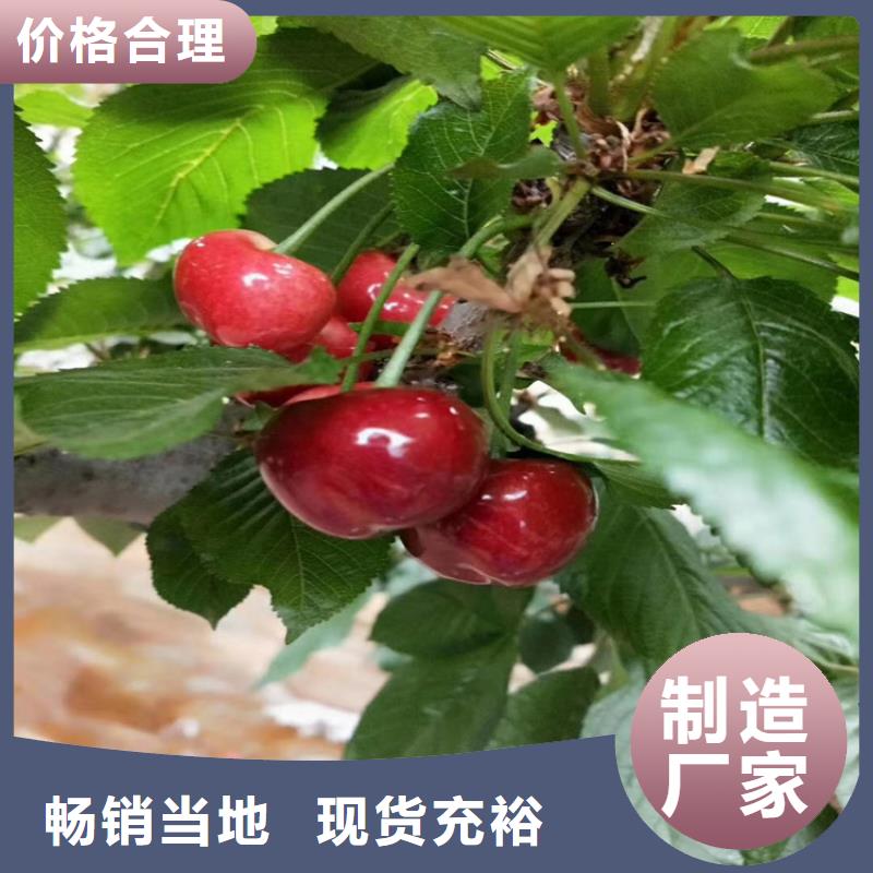 樱桃-奶油草莓质量层层把关