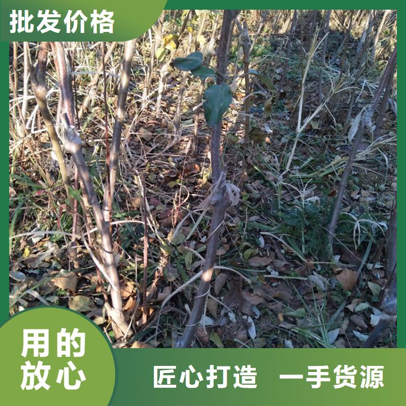 苹果,奶油草莓品质不将就