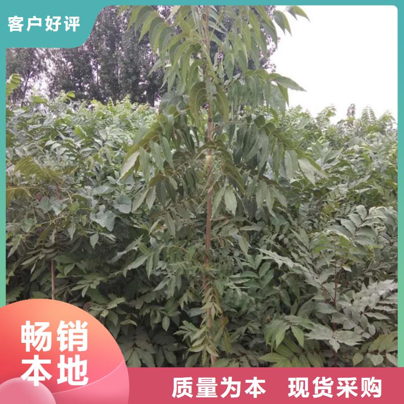 【碧根果红颜草莓匠心工艺】