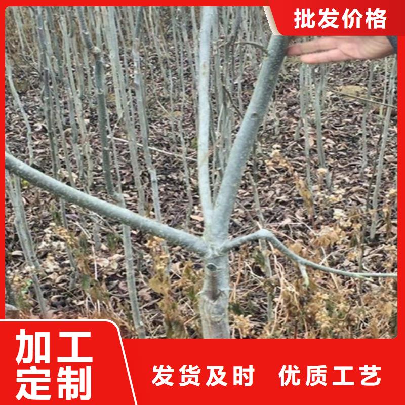 【碧根果红颜草莓匠心工艺】