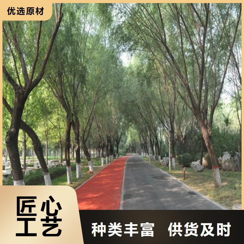 健身步道,体育馆塑胶跑道定制销售售后为一体