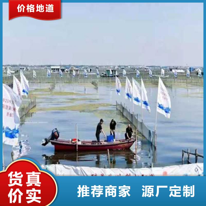 正宗阳澄湖大闸蟹价格2024