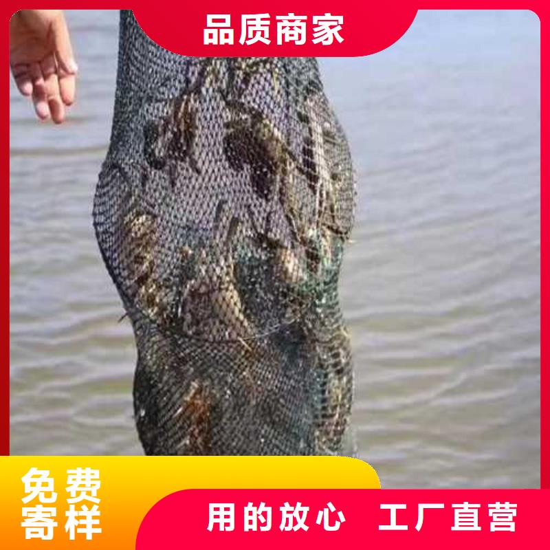 便宜的阳澄湖大闸蟹价格