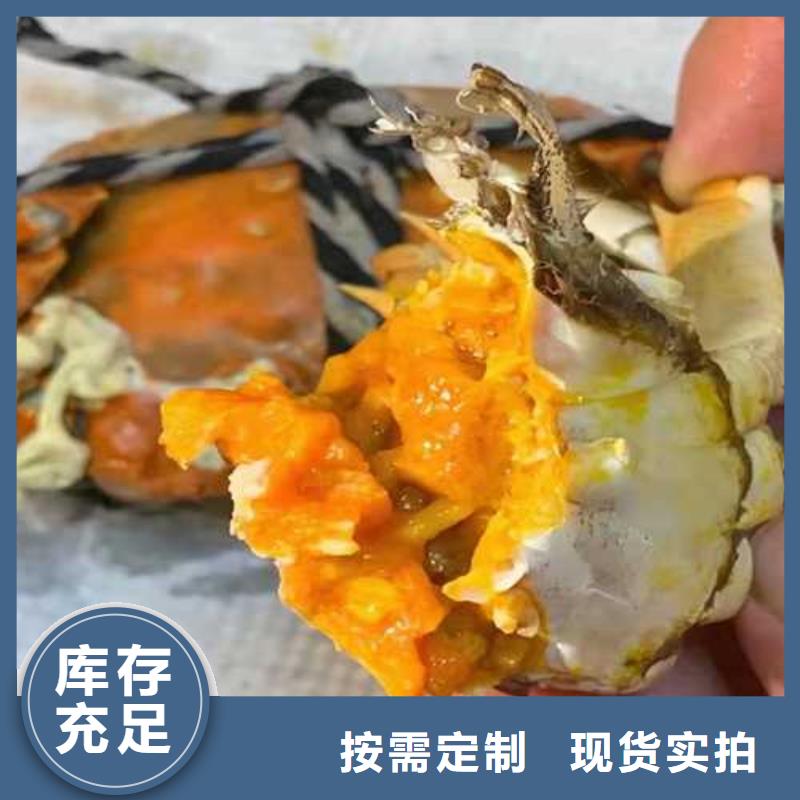 优选：大闸蟹供应商