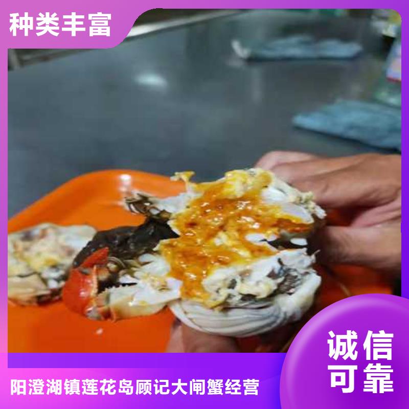 台湾正宗阳澄湖大闸蟹专卖店