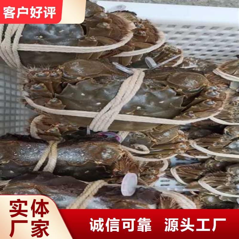 正宗阳澄湖大闸蟹价格